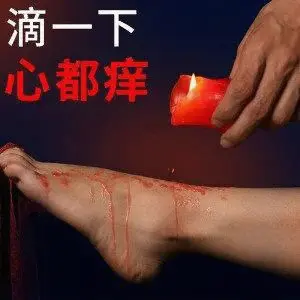 【西檬之家】字母圈K9犬系入门：从角色认知到SSC安全实践
