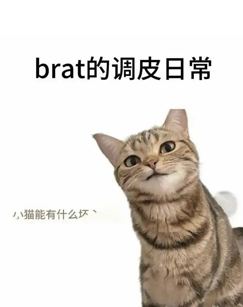 西檬之家-BDSM猫系探索：理解K8角色与BDSM文化