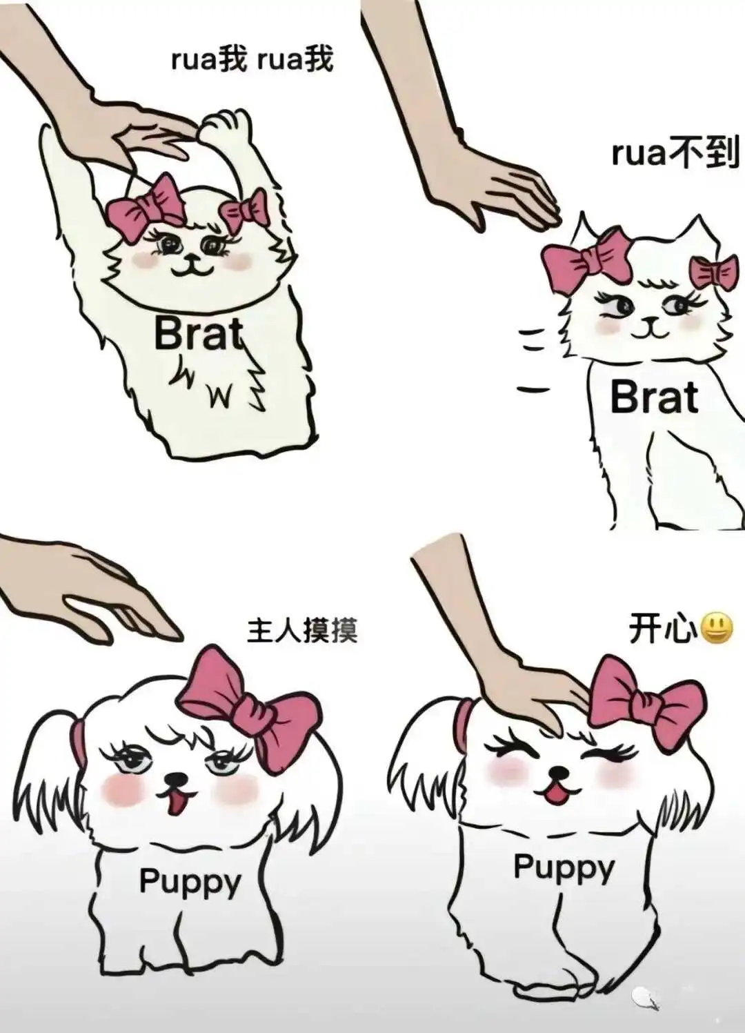 西檬之家-恋足癖是什么？字母圈新人如何科学认知该偏好