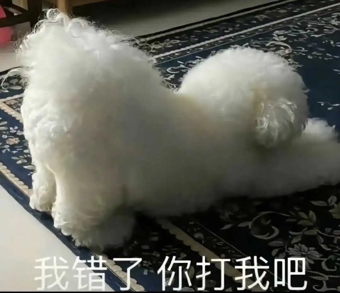 西檬之家-BDSM新人指南：S倾向与核心术语解析