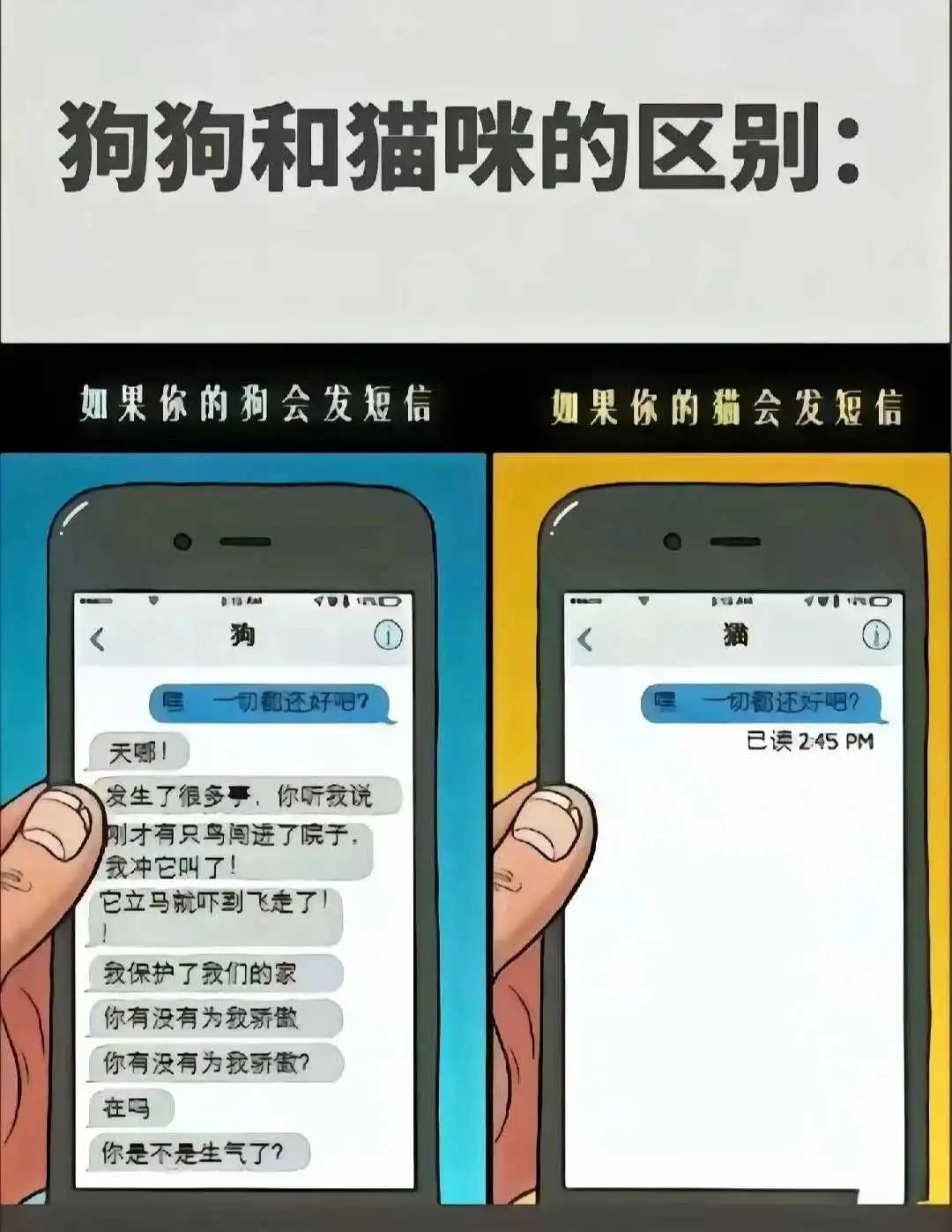 【西檬之家】字母圈新人入圈指南：BDSM术语与核心原则解析
