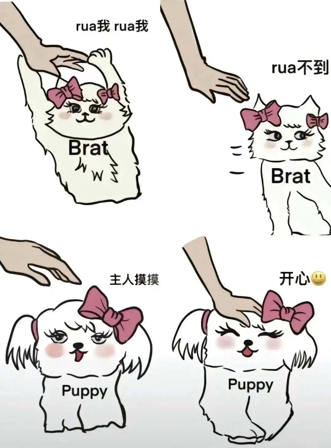 【西檬之家】字母圈小圈是什么？新人必读的安全指南