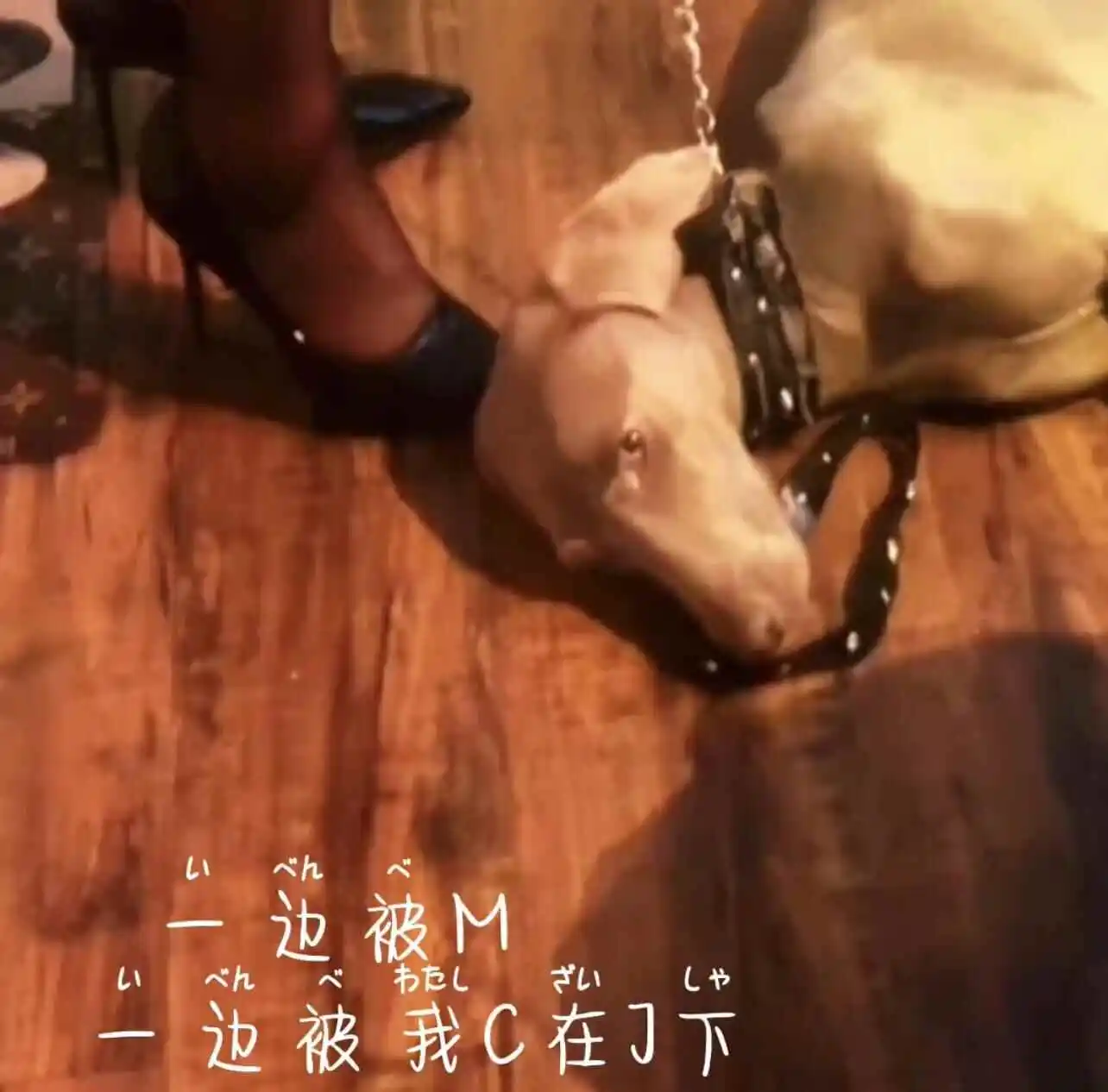 【西檬之家】新人入圈指南：从字母圈核心术语解读BDSM文化