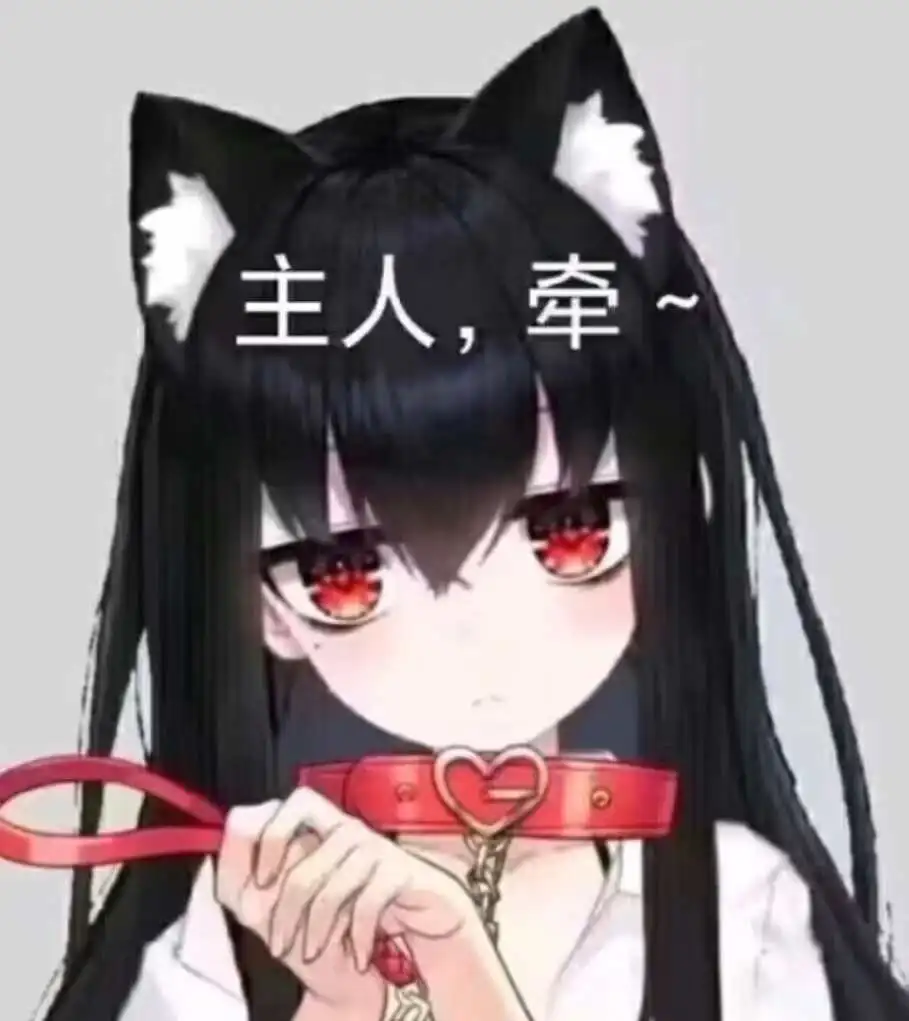 字母圈 - 2023_11_10_21_21_IMG_8948